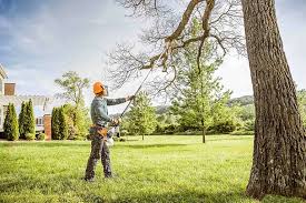 Trusted Brentwood, PA Tree Removal and Landscaping Services Experts